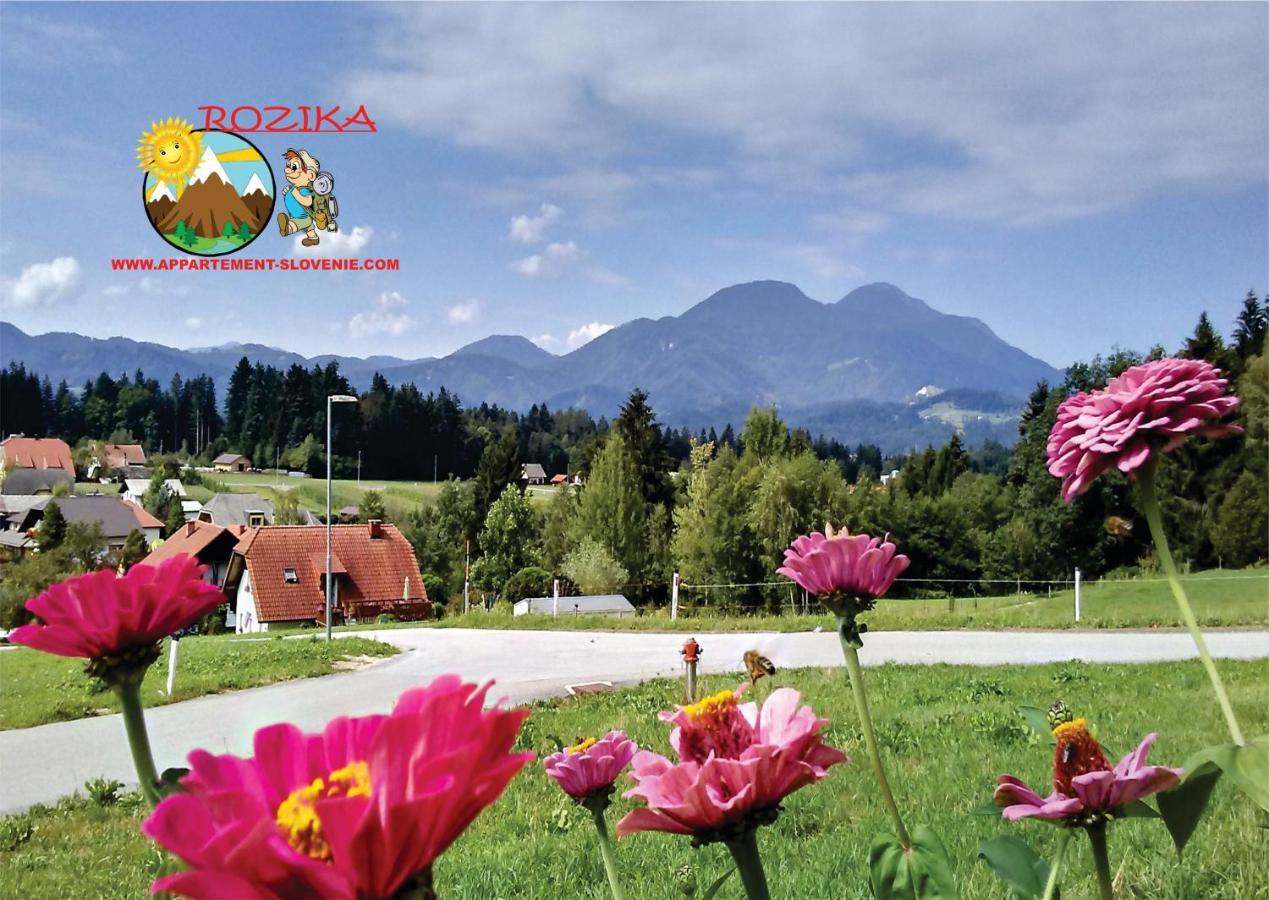 Apartment Rozika Slovenj Gradec Kültér fotó