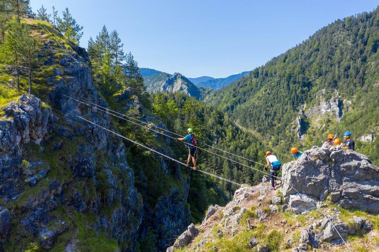 Apartment Rozika Slovenj Gradec Kültér fotó